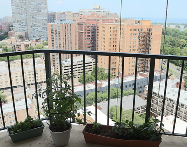 3660 N Lake Shore Drive - Photo Thumbnail 7