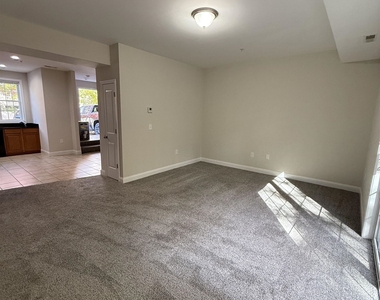 39 Clancy - Photo Thumbnail 4