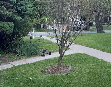 295 Tenafly - Photo Thumbnail 1