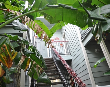 3754 Tanglewilde Street - Photo Thumbnail 28