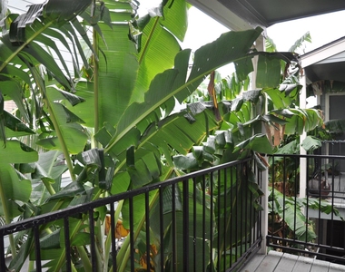 3754 Tanglewilde Street - Photo Thumbnail 2