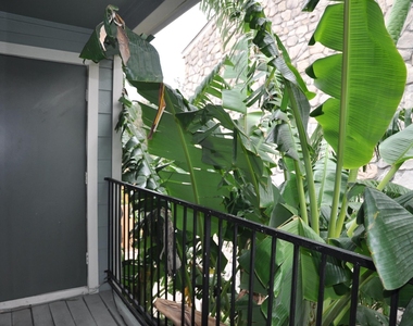 3754 Tanglewilde Street - Photo Thumbnail 3