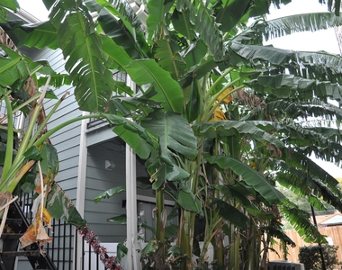 3754 Tanglewilde Street - Photo Thumbnail 29