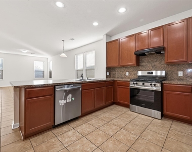 21015 Blackstone Villa Lane - Photo Thumbnail 16