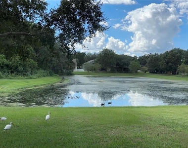 13016 Terrace Brook Place - Photo Thumbnail 22