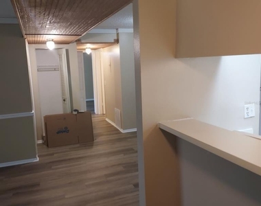 4411 Shady Terrace Lane - Photo Thumbnail 4