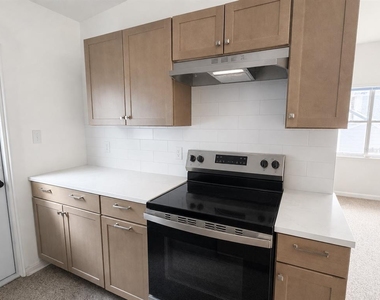 1605 Dauphin Lane - Photo Thumbnail 5