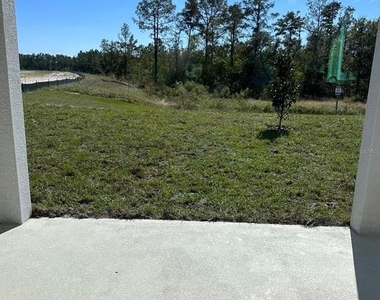 16553 Brook Isle Way - Photo Thumbnail 14