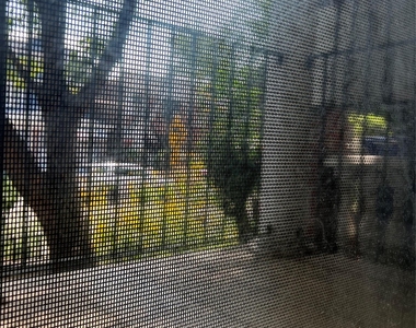 4218 66th St. - Photo Thumbnail 23