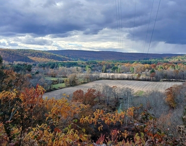 38 Horseshoe Bend Road - Photo Thumbnail 13
