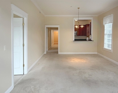 19 Cropsey Street - Photo Thumbnail 6