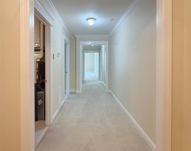 19 Cropsey Street - Photo Thumbnail 25