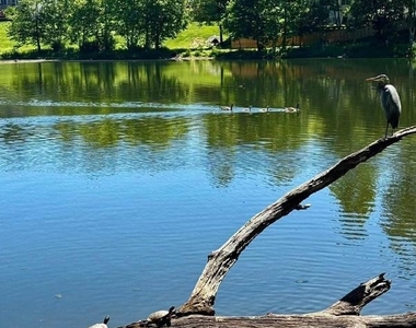 5220 Painted Turtle Way - Photo Thumbnail 22