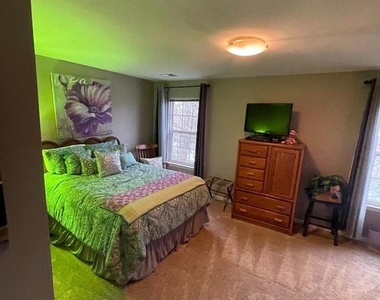 5220 Painted Turtle Way - Photo Thumbnail 9