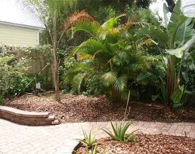 19 Lovett Street - Photo Thumbnail 19