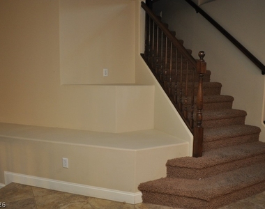 7804 Jacaranda Hill Court - Photo Thumbnail 8