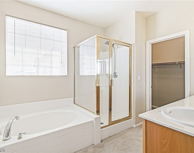 10051 Candy Bouquet Street - Photo Thumbnail 16