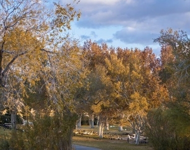 8852 Regatta Bay Place - Photo Thumbnail 76