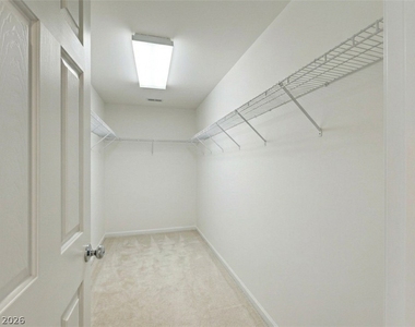 8176 Duncan Peak Court - Photo Thumbnail 25