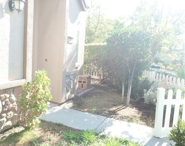 27605 Chicory - Photo Thumbnail 37