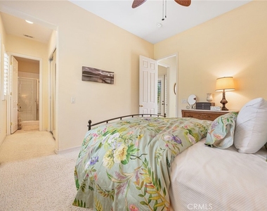 79240 Citrus - Photo Thumbnail 40