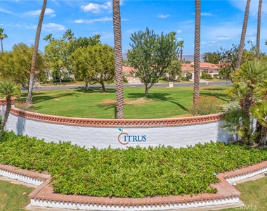 79240 Citrus - Photo Thumbnail 62