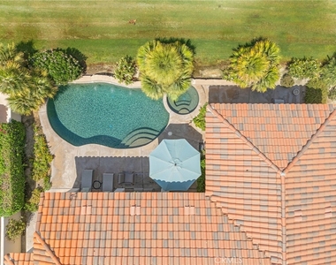 79240 Citrus - Photo Thumbnail 57