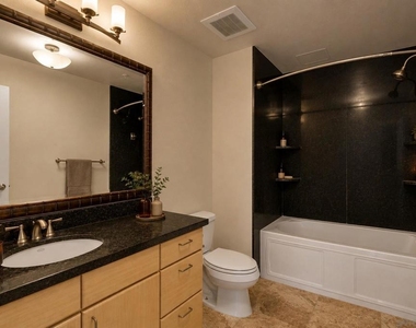 445 Island Ave - Photo Thumbnail 7