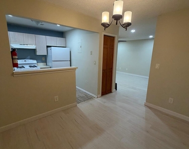 11 Tanglewood Court - Photo Thumbnail 10