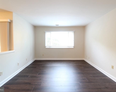 3123 Sayre Drive - Photo Thumbnail 11