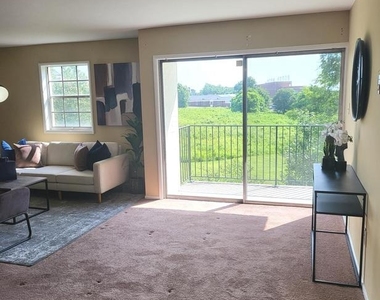 4513 Romlon Street - Photo Thumbnail 9