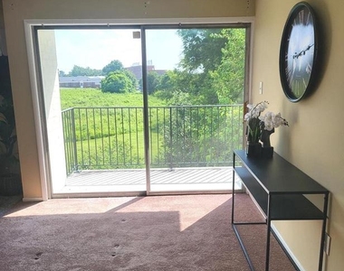 4513 Romlon Street - Photo Thumbnail 10