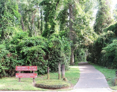 3311 Golden Willow Drive - Photo Thumbnail 40