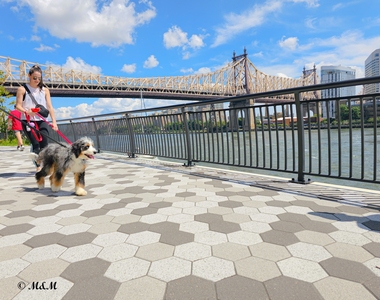 East 58th Street - Photo Thumbnail 4