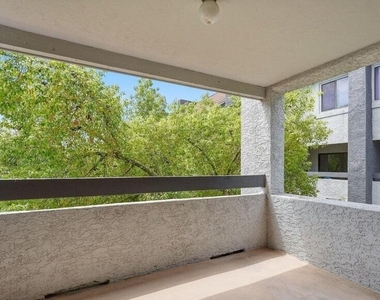 1215 E Lemon Street - Photo Thumbnail 17