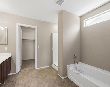 45022 W Bahia Drive - Photo Thumbnail 15