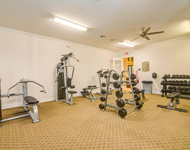 15688 Italian Cypress Way - Photo Thumbnail 47