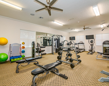 15688 Italian Cypress Way - Photo Thumbnail 49