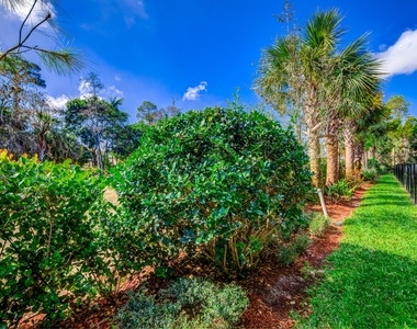 15688 Italian Cypress Way - Photo Thumbnail 64