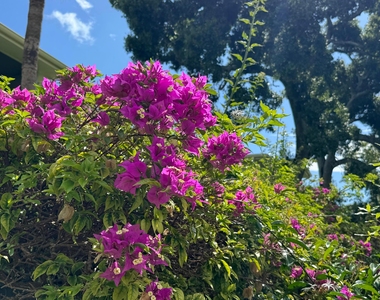 1100 Ponce De Leon Circle - Photo Thumbnail 37