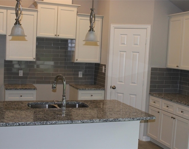 1009 E Cannon Street - Photo Thumbnail 8
