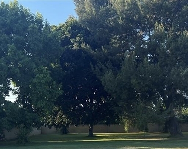 8541 Orangewood - Photo Thumbnail 45