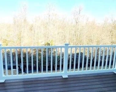 5053 Bigleaf Road - Photo Thumbnail 18