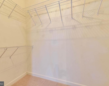 14422 Fowlers Mill Drive - Photo Thumbnail 18