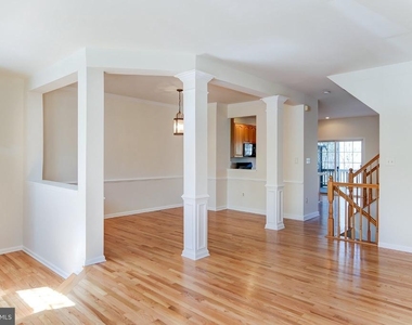 20717 Waterfall Branch Terrace - Photo Thumbnail 6