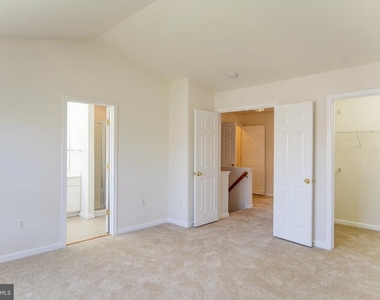 20717 Waterfall Branch Terrace - Photo Thumbnail 19