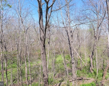 20717 Waterfall Branch Terrace - Photo Thumbnail 42