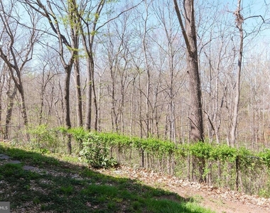 20717 Waterfall Branch Terrace - Photo Thumbnail 43