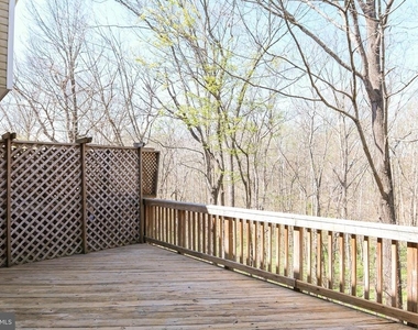 20717 Waterfall Branch Terrace - Photo Thumbnail 15