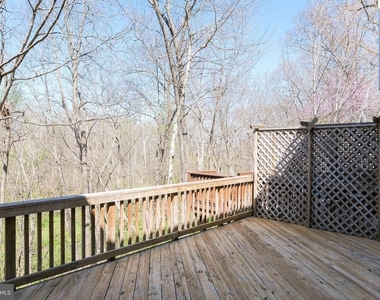 20717 Waterfall Branch Terrace - Photo Thumbnail 14